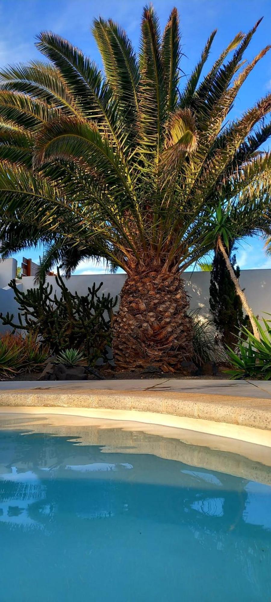 Vila Casa Alizee, Heated Pool, Hot Tub Playa Blanca  Exteriér fotografie